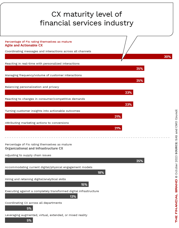 CX-Maturity-in-financial-services